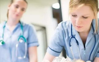 新西蘭三大性價比較高的專業 高考學子的信賴之選