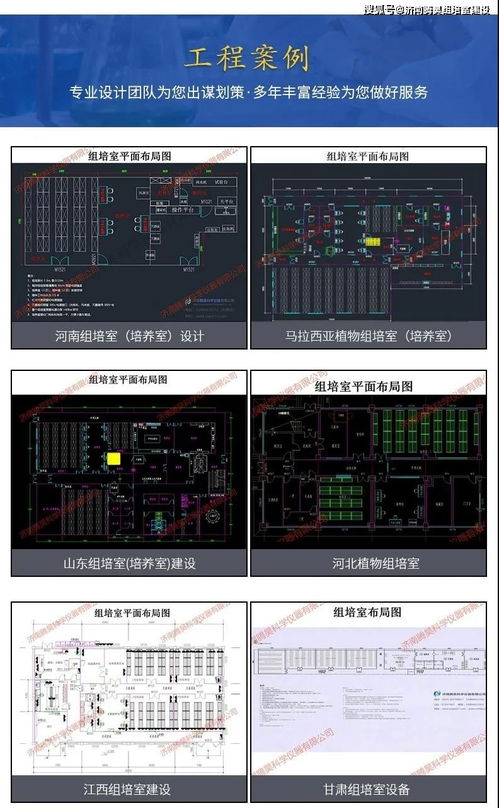 河北紅薯與甘薯組培室設(shè)計圖、設(shè)備配置及計算機軟硬件輔助方案