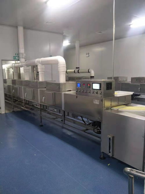 精準選購指南 高效奶制品微波殺菌設備與配套計算機系統推薦